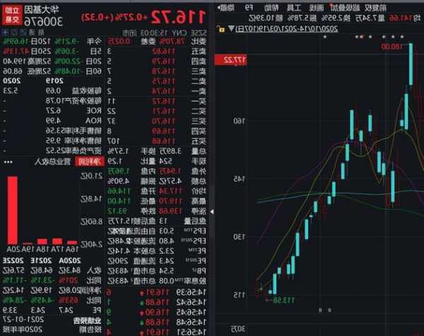 大健云仓盘中异动 早盘股价大跌5.03%报9.26美元