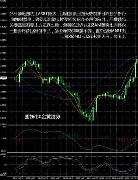 分析师：金价目前超买，但创纪录的形态将延续到2024年