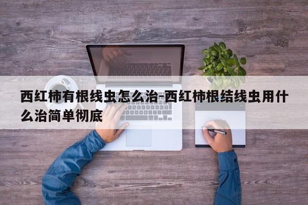 西红柿有根线虫怎么治-西红柿根结线虫用什么治简单彻底