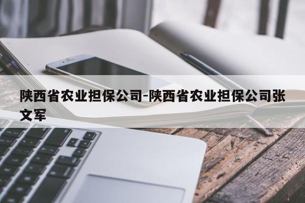 陕西省农业担保公司-陕西省农业担保公司张文军