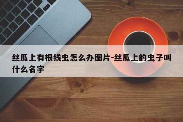 丝瓜上有根线虫怎么办图片-丝瓜上的虫子叫什么名字