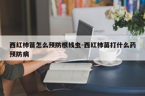 西红柿苗怎么预防根线虫-西红柿苗打什么药预防病