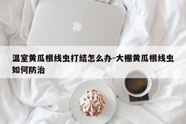 温室黄瓜根线虫打结怎么办-大棚黄瓜根线虫如何防治