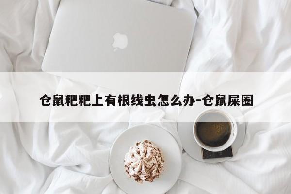 仓鼠粑粑上有根线虫怎么办-仓鼠屎圈