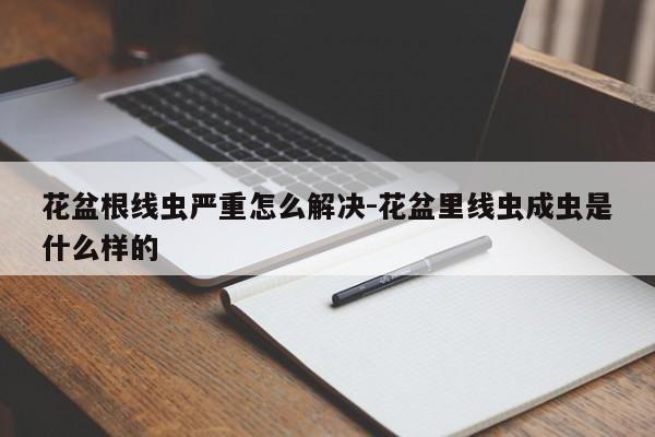 花盆根线虫严重怎么解决-花盆里线虫成虫是什么样的