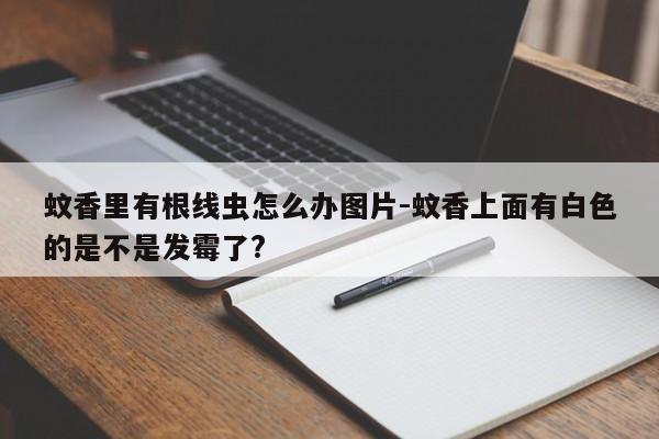 蚊香里有根线虫怎么办图片-蚊香上面有白色的是不是发霉了?