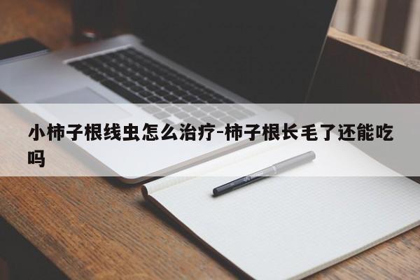 小柿子根线虫怎么治疗-柿子根长毛了还能吃吗