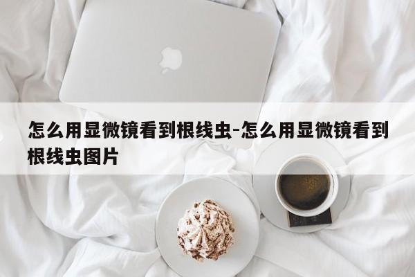 怎么用显微镜看到根线虫-怎么用显微镜看到根线虫图片